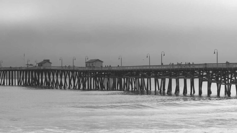 What Extra Functions Does 11Xplay Pro Black Offer?